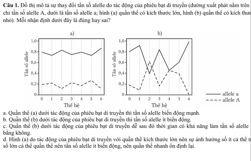 Đồ thị mô tả sự thay đổi tần số alelle do tác động của phiêu bạt di truyền (đường xuất phát nằm trên
chi tần số alelle A, dưới là tần số alelle a; hình (a) quần thể có kích thước lớn, hình (b) quần thể có kích thưc
nhỏ). Mỗi nhận định dưới đây là đúng hay sai?
b)
1, 0
0, 8
。
0, 6
0, 4
0, 2
allele a
0
0 1 2 3 4 5 6 allele A
Thế hệ
a. Quần thể (a) dưới tác động của phiêu bạt di truyền thì tần số alelle biến động mạnh.
b. Quần thể (b) dưới tác động của phiêu bạt di truyền thì tần số alelle ít biển động.
c. Quần thể (b) dưới tác động của phiêu bạt di truyền dễ sau đó thời gian có khả năng làm tần số alelle
bằng không.
d. Hình (a) do tác động của phiêu bạt di truyền với quần thể kích thước lớn nên sự ảnh hưởng số ít cả thể t
số lớn cá thể quần thể nên tần số alelle ít biến động, nên quần thể nhanh ổn định lại.