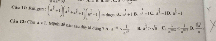 sqrt(Va^2).b^6 ab.B.ab. 
Câu 11: Rút gọn : (a^(frac 2)3+1)(a^(frac 4)9+a^(frac 2)9+1)(a^(frac 2)9-1) ta được :A. a^(frac 1)3+1 B. a^(frac 4)3+1C.a^(frac 4)3-1D.a^(frac 1)3-1
Câu 12: Cho a>1. Mệnh đề nào sau đây là đúng ? A. a^(-sqrt(3))> 1/a^(sqrt(5))  B. a^(frac 1)3>sqrt(a) C.  1/a^(2016)  D.  sqrt[3](a^2)/a >