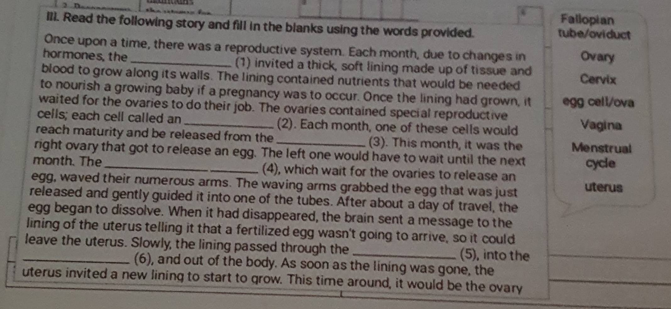 Fallopian 
III. Read the following story and fill in the blanks using the words provided. tube/oviduct 
Once upon a time, there was a reproductive system. Each month, due to changes in Ovary 
hormones, the _(1) invited a thick, soft lining made up of tissue and 
blood to grow along its walls. The lining contained nutrients that would be needed 
Cervix 
to nourish a growing baby if a pregnancy was to occur. Once the lining had grown, it egg cell/ova 
waited for the ovaries to do their job. The ovaries contained special reproductive 
cells; each cell called an _(2). Each month, one of these cells would 
Vagina 
reach maturity and be released from the (3). This month, it was the 
Menstrual 
right ovary that got to release an egg. The left one would have to wait until the next 
cycle 
month. The (4), which wait for the ovaries to release an 
egg, waved their numerous arms. The waving arms grabbed the egg that was just 
uterus 
released and gently guided it into one of the tubes. After about a day of travel, the 
egg began to dissolve. When it had disappeared, the brain sent a message to the 
lining of the uterus telling it that a fertilized egg wasn't going to arrive, so it could 
_leave the uterus. Slowly, the lining passed through the_ (5), into the 
(6), and out of the body. As soon as the lining was gone, the 
uterus invited a new lining to start to grow. This time around, it would be the ovary