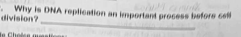 Why is DNA replication an important process before ct 
_ 
division? 
_