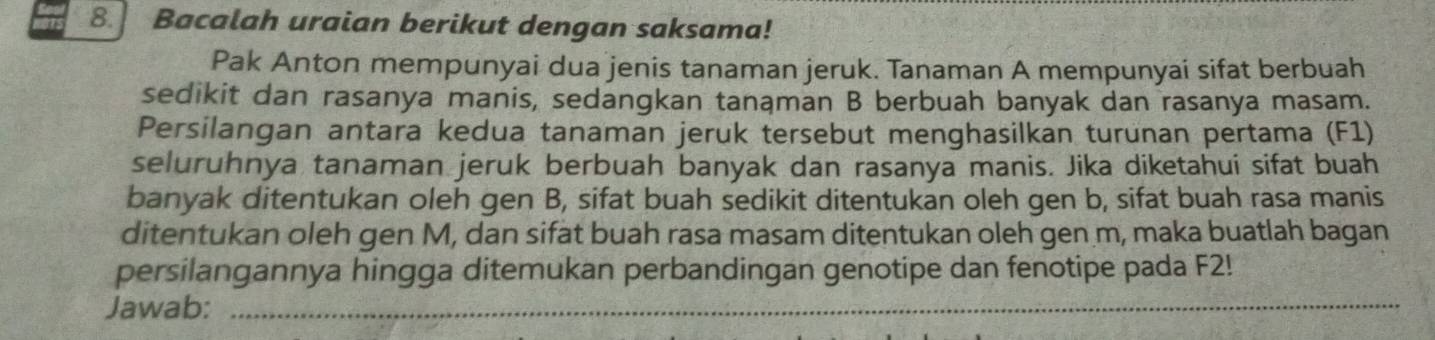 Bacalah uraian berikut dengan saksama! 
Pak Anton mempunyai dua jenis tanaman jeruk. Tanaman A mempunyai sifat berbuah 
sedikit dan rasanya manis, sedangkan tanaman B berbuah banyak dan rasanya masam. 
Persilangan antara kedua tanaman jeruk tersebut menghasilkan turunan pertama (F1) 
seluruhnya tanaman jeruk berbuah banyak dan rasanya manis. Jika diketahui sifat buah 
banyak ditentukan oleh gen B, sifat buah sedikit ditentukan oleh gen b, sifat buah rasa manis 
ditentukan oleh gen M, dan sifat buah rasa masam ditentukan oleh gen m, maka buatlah bagan 
persilangannya hingga ditemukan perbandingan genotipe dan fenotipe pada F2! 
Jawab:_