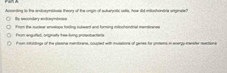 According to the endosymbiosis theory of the origin of sukeryotic cells, how did mitochondria originate?
By secondary endosymbiosis
From the nuclear envelope folding outward and forming milochondrial membranes
From enguifed, originally free-living proteobacteria
From infoldings of the plasma membrane, coupled with mutations of genes for proteins in energy-transfer reactions