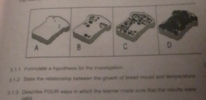 A B C D 
3. 1. 1 Formulate a hypothesis for the investigation. 
3.1.2 State the relationship between the growth of bread mould and temperature. 
3 1.3 Describe FOUR ways in which the leamer made sure that the results were 
vialid