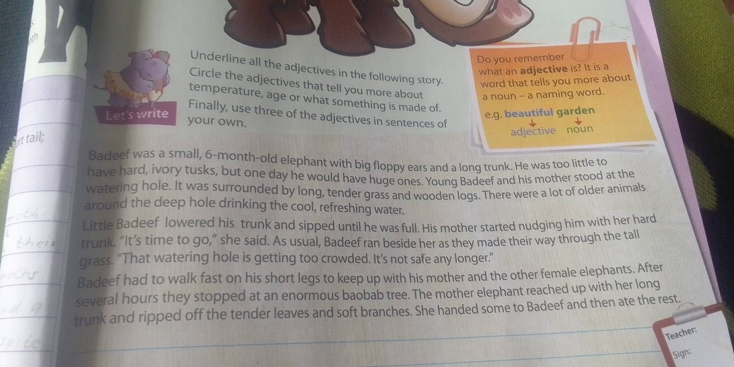 Do you remember
Underline all the adjectives in the following story. word that tells you more about
what an adjective is? It is a
Circle the adjectives that tell you more about
a noun - a naming word.
temperature, age or what something is made of.
Let's write e.g. beautiful garden
Finally, use three of the adjectives in sentences of
your own.
Attail;
adjective noun
Badeef was a small, 6-month -old elephant with big floppy ears and a long trunk. He was too little to
have hard, ivory tusks, but one day he would have huge ones. Young Badeef and his mother stood at the
watering hole. It was surrounded by long, tender grass and wooden logs. There were a lot of older animals
around the deep hole drinking the cool, refreshing water.
Little Badeef lowered his trunk and sipped until he was full. His mother started nudging him with her hard
trunk. “It’s time to go,” she said. As usual, Badeef ran beside her as they made their way through the tall
grass. “That watering hole is getting too crowded. It’s not safe any longer.”
Badeef had to walk fast on his short legs to keep up with his mother and the other female elephants. After
several hours they stopped at an enormous baobab tree. The mother elephant reached up with her long
trunk and ripped off the tender leaves and soft branches. She handed some to Badeef and then ate the rest.
Teacher:
Sign: