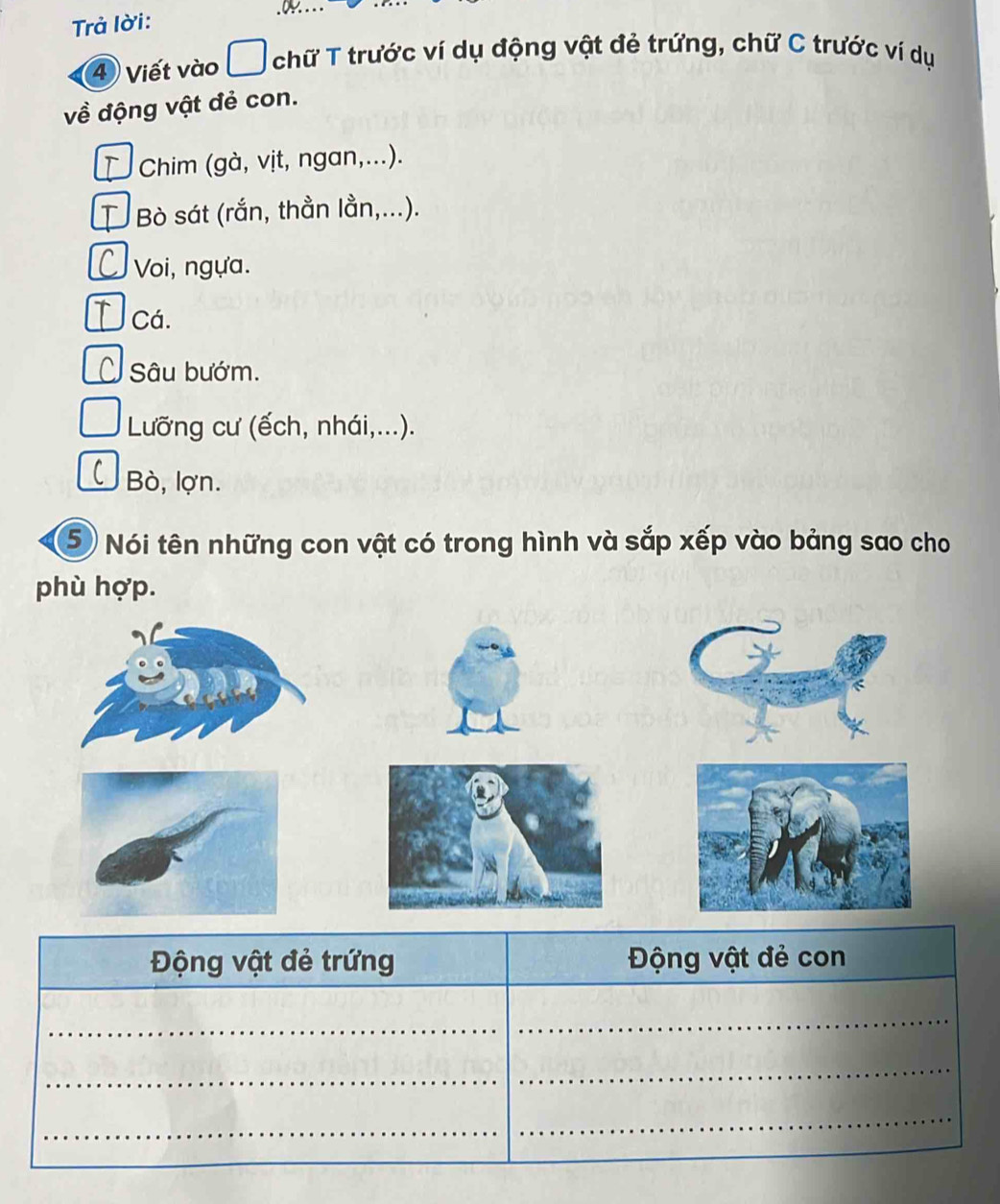 Trả lời:
④ Viết vào chữ T trước ví dụ động vật đẻ trứng, chữ C trước ví dụ
về động vật đẻ con.
D Chim (gà, vịt, ngan,...).
D Bò sát (rắn, thần lần,...).
Voi, ngựa.
J cá.
Ở sâu bướm.
Lưỡng cư (ếch, nhái,...).
Bò, lợn.
5 Nói tên những con vật có trong hình và sắp xếp vào bảng sao cho
phù hợp.
Động vật đẻ trứng Động vật đẻ con