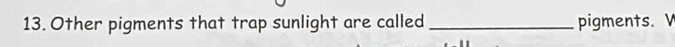 Other pigments that trap sunlight are called _pigments. V