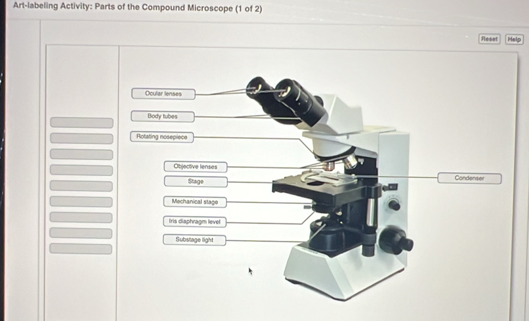 Art-labeling Activity: Parts of the Compound Microscope (1 of 2) Reset ...