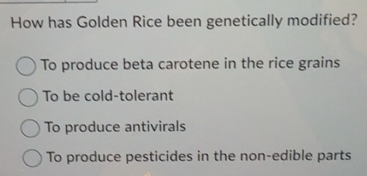 Solved: How has Golden Rice been genetically modified? To produce beta ...