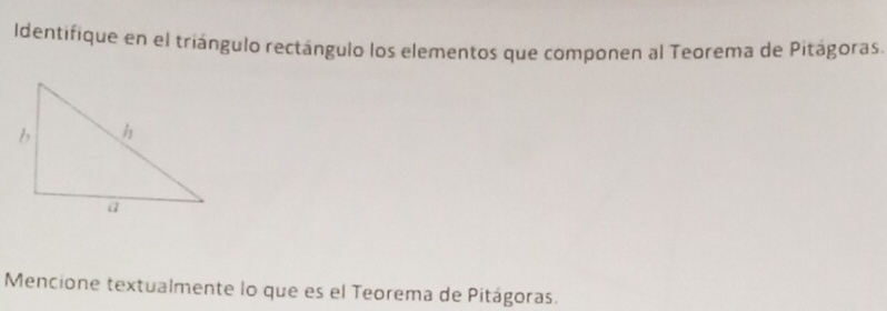 Identifique en el triángulo rectángulo los elementos que componen al Teorema de Pitágoras. 
Mencione textualmente lo que es el Teorema de Pitágoras.