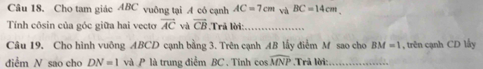 Cho tam giác ABC vuông tại A có cạnh AC=7cm và BC=14cm
Tính côsin của góc giữa hai vecto vector AC vù vector CB.Trã lời:_ 
Câu 19. Cho hình vuông ABCD cạnh bằng 3. Trên cạnh AB lấy điểm M sao cho BM=1 , trên cạnh CD lấy 
điểm N sao cho DN=1 và P là trung điểm BC. Tính cos widehat MNP Trã lời:_