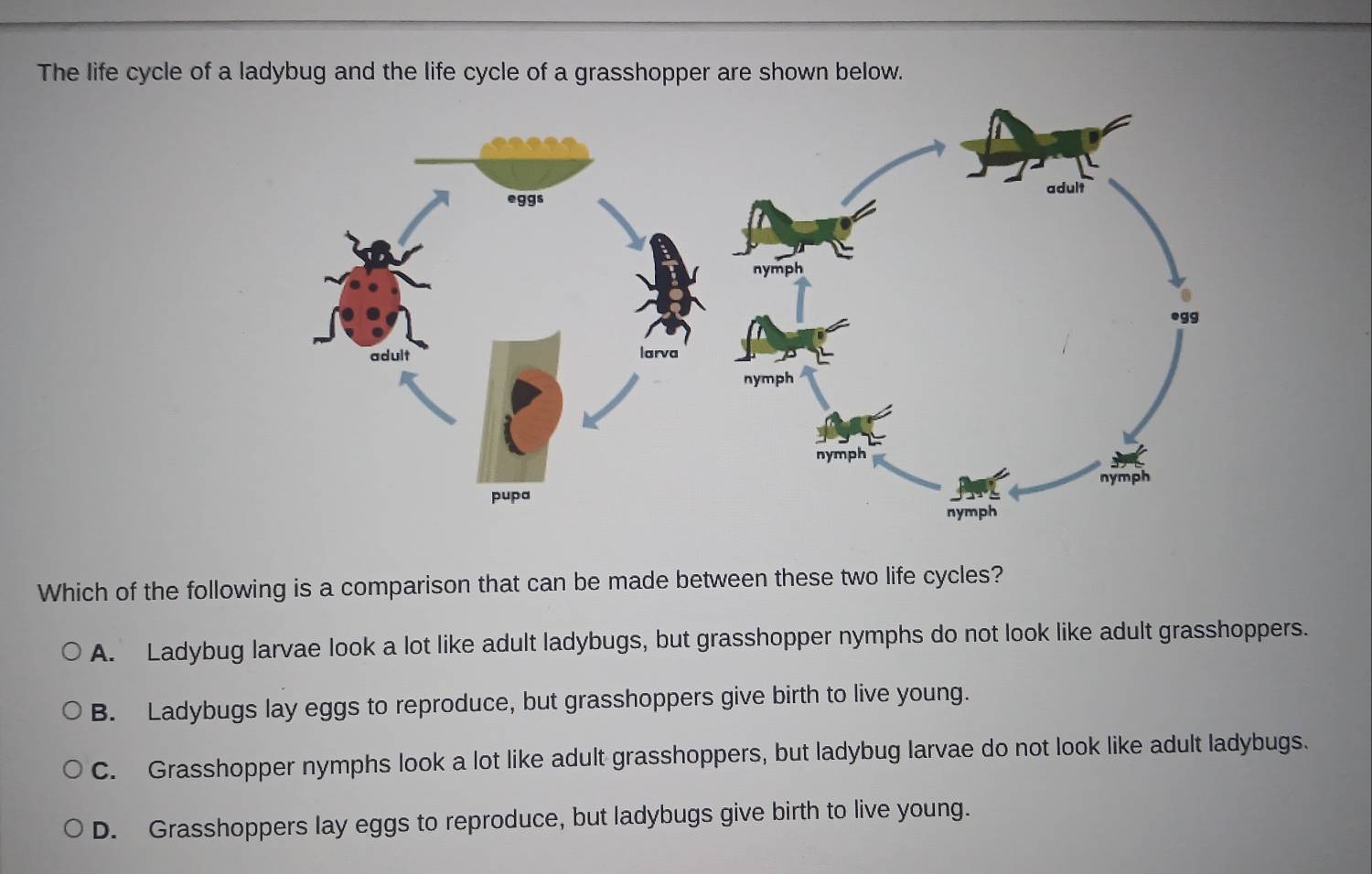 Solved: The life cycle of a ladybug and the life cycle of a grasshopper ...