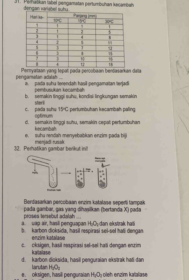 Perhatikan tabel pengamatan pertumbuhan kecambah
dengan variabel s
Pernyataan yang tepat pada percobaan berdasarkan data
pengamatan adalah ...
a. pada suhu terendah hasil pengamatan terjadi
pembusukan kecambah
b. semakin tinggi suhu, kondisi lingkungan semakin
steril
c. pada suhu 15°C pertumbuhan kecambah paling
optimum
d. semakin tinggi suhu, semakin cepat pertumbuhan
kecambah
e. suhu rendah menyebabkan enzim pada biji
menjadi rusak
32. Perhatikan gambar berikut ini!
Berdasarkan percobaan enzim katalase seperti tampak
pada gambar, gas yang dihasilkan (bertanda X) pada
proses tersebut adalah ...
a. uap air, hasil penguapan H_2O_2 dan ekstrak hati
b. karbon dioksida, hasil respirasi sel-sel hati dengan
enzim katalase
c. cksigen, hasil respirasi sel-sel hati dengan enzim
katalase
d. karbon dioksida, hasil penguraian ekstrak hati dan
larutan H_2O_2
e. oksigen, hasil penguraian H_2O_2 oleh enzim katalase