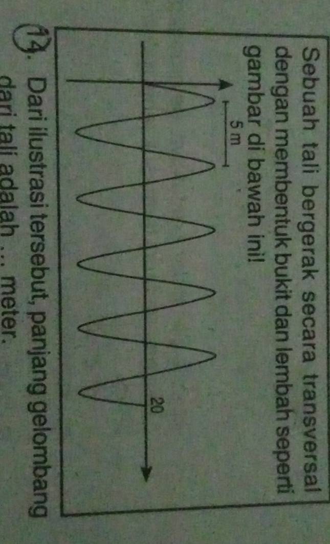 Sebuah tali bergerak secara transversal 
dengan membentuk bukit dan lembah seperti 
gambar di bawah ini! 
14. Dari ilustrasi tersebut, panjang gelombang 
dari talí adalah ... meter.