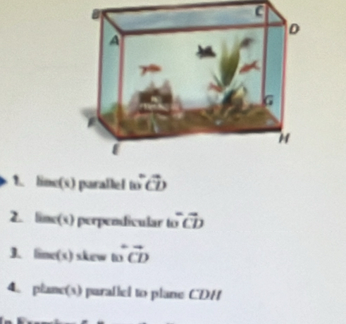 line(s) parallel mwidehat CD
2. lime(s) perpendicular t overline overline Coverline CD 
3. lime(s) skew to vector CD
4. plane(s) paralled to plane CDH