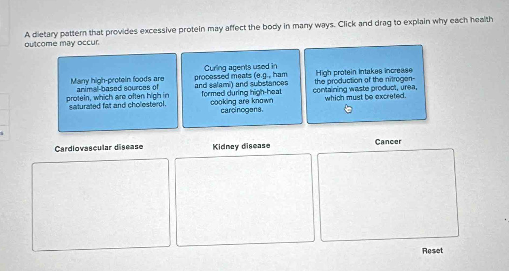 A dietary pattern that provides excessive protein may affect the body in many ways. Click and drag to explain why each health 
outcome may occur. 
Curing agents used in 
Many high-protein foods are processed meats (e.g., ham High protein intakes increase 
animal-based sources of and salami) and substances the production of the nitrogen- 
protein, which are often high in formed during high-heat containing waste product, urea, 
saturated fat and cholesterol. cooking are known which must be excreted. 
carcinogens. 
$ 
Cardiovascular disease Kidney disease Cancer 
Reset