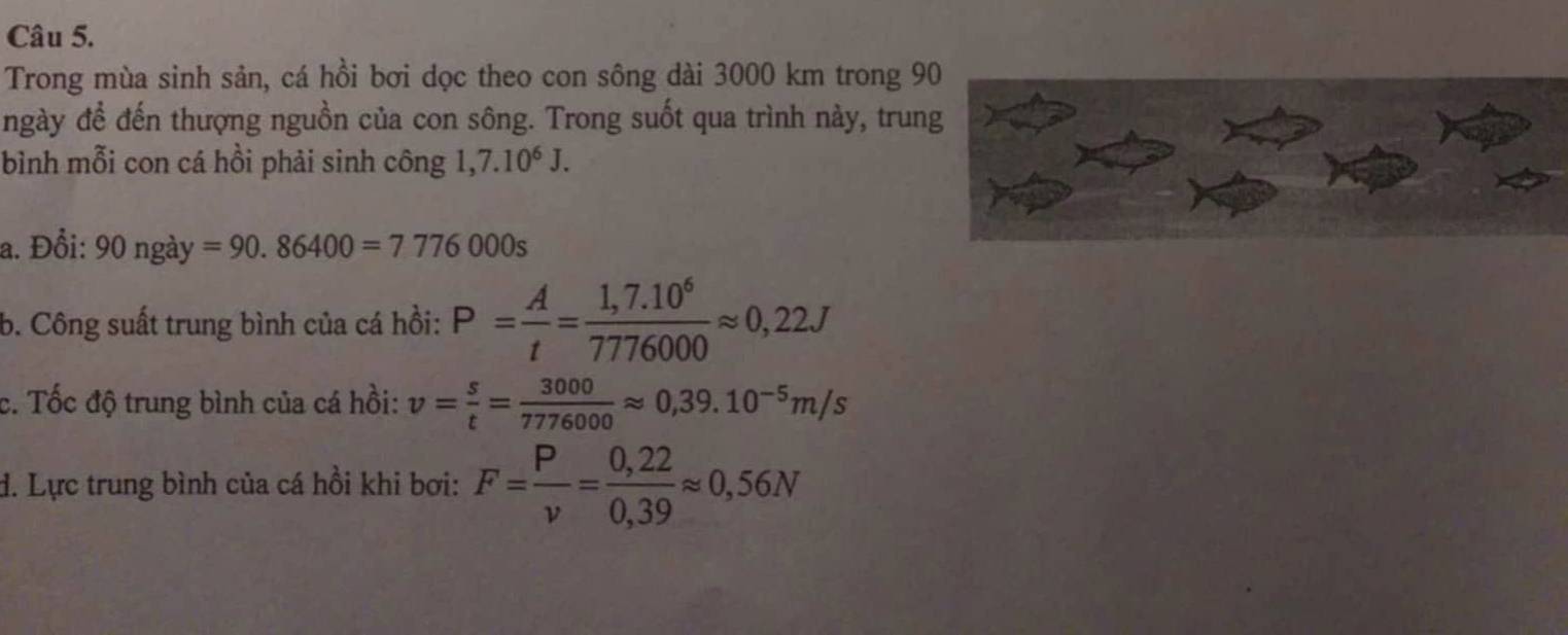 Trong mùa sinh sản, cá hồi bơi dọc theo con sông dài 3000 km trong 9
ngày đề đến thượng nguồn của con sông. Trong suốt qua trình này, trun
bình mỗi con cá hồi phải sinh công 1,7.10^6J. 
a. Đổi: a 90ngay=90.86400=7776000s
b. Công suất trung bình của cá hồi: P= A/t = (1,7.10^6)/7776000 approx 0,22J
c. Tốc độ trung bình của cá hồi: v= s/t = 3000/7776000 approx 0,39.10^(-5)m/s
d. Lực trung bình của cá hồi khi bơi: F= P/v = (0,22)/0,39 approx 0,56N