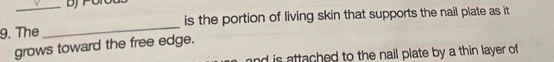 The _is the portion of living skin that supports the nail plate as it 
grows toward the free edge. 
and is attached to the nail plate by a thin layer of