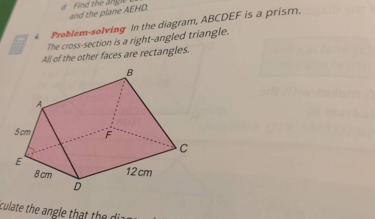 Find the angle 
and the plane AEHD. 
4 Problem-solving In the diagram, ABCDEF is a prism. 
The cross-section is a right-angled triangle. 
All of the other faces are rectangles. 
culate the angle that the di