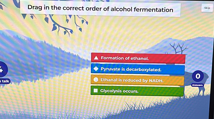 Drag in the correct order of alcohol fermentation Skip
Formation of ethanol.
Pyruvate is decarboxylated.
talk
Ethanal is reduced by NADH.
Answers
Glycolysis occurs.