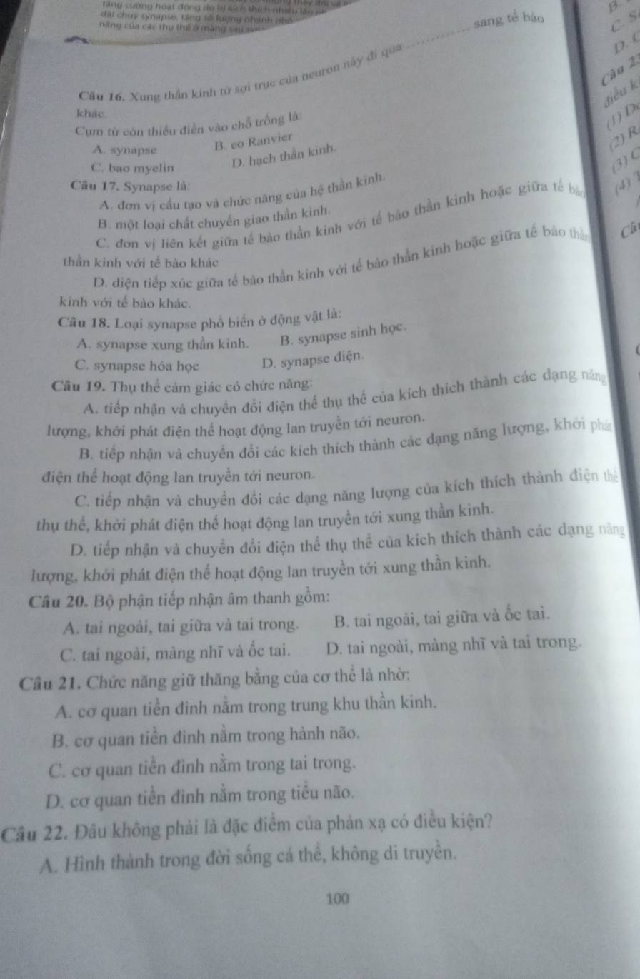 ang cường hoạt động đo lị lích thích nưều  la  n   
đ à i chuy synapse, tăng số lượng nhánh nhó
năng của các thu thế ở màng sau svr
sang tế bào B.
_
C. S
D. (
Câu 2.
Cầu 16, Xung thần kinh từ sợi trục của neuron này đi qua
điều k
khác
Cụm từ còn thiều điễn vào chỗ trống là:
) D
A. synapse B. eo Ranvier
(2) R
C. bao myelin D. hạch thần kinh.
(3) C
Câu 17. Synapse là:
A. đơn vị cầu tạo và chức năng của hệ thần kinh.
C. đơn vị liên kết giữa tế bảo thần kinh với tế bào thần kinh hoặc giữa tế ba (4)
B. một loại chất chuyến giao thần kinh.
D. điện tiếp xúc giữa tế bảo thần kinh với tế bào thần kinh hoặc giữa tế bảo tha Cl
thần kinh với tế bào khác
kính với tế bào khác.
Câu 18. Loại synapse phổ biển ở động vật là:
A. synapse xung thần kinh. B. synapse sinh học.
C. synapse hỏa học D. synapse diện.
Cầu 19. Thụ thể cảm giác có chức năng:
A. tiếp nhận và chuyền đổi điện thể thụ thể của kích thích thành các dạng năng
lượng, khởi phát điện thể hoạt động lan truyền tới neuron.
B. tiếp nhận và chuyển đổi các kích thích thành các dạng năng lượng, khởi phá
điện thể hoạt động lan truyền tới neuron.
C. tiếp nhận và chuyển đổi các dạng năng lượng của kích thích thành điện thể
thụ thể, khởi phát điện thể hoạt động lan truyền tới xung thần kinh.
D. tiếp nhận và chuyển đổi điện thể thụ thể của kích thích thành các dạng năng
lượng, khởi phát điện thể hoạt động lan truyền tới xung thần kinh.
Câu 20. Bộ phận tiếp nhận âm thanh gồm:
A. tai ngoài, tai giữa và tai trong. B. tai ngoài, tai giữa và ốc tai.
C. tai ngoài, màng nhĩ và ốc tai. D. tai ngoài, màng nhĩ và tai trong.
Cầu 21. Chức năng giữ thăng bằng của cơ thể là nhờ:
A. cơ quan tiền đình nằm trong trung khu thần kinh.
B. cơ quan tiền đinh nằm trong hành não.
C. cơ quan tiền đình nằm trong tai trong.
D. cơ quan tiền đình nằm trong tiểu não.
Câu 22. Đâu không phải là đặc điểm của phản xạ có điều kiện?
A. Hình thành trong đời sống cá thể, không di truyền.
100