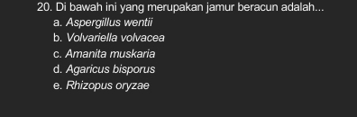 Di bawah ini yang merupakan jamur beracun adalah...
a. Aspergillus wentii
b. Volvariella volvacea
c. Amanita muskaria
d. Agaricus bisporus
e. Rhizopus oryzae