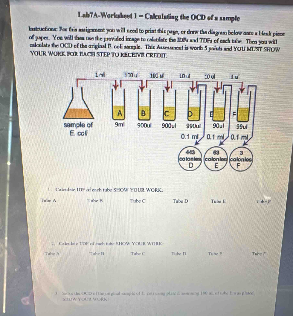 Solved: Lab7A-Worksheet 1= Calculating the OCD of a sample Instructions ...