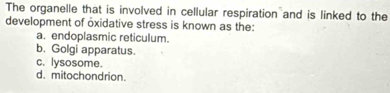 The organelle that is involved in cellular respiration and is linked to the
development of oxidative stress is known as the:
a. endoplasmic reticulum.
b. Golgi apparatus.
c. lysosome.
d. mitochondrion.