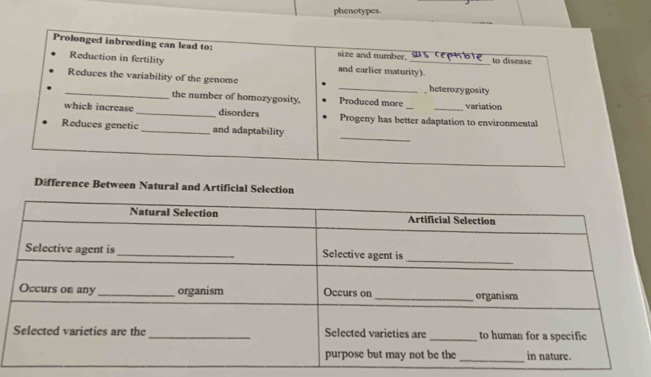 phenotypes. 
Prolonged inbreeding can lead to: size and number. _ to disease 
Reduction in fertility and earlier maturity). 
_Reduces the variability of the genome _heterozygosity 
the number of homozygosity. Produced more variation 
whick increase_ disorders Progeny has better adaptation to environmental 
_ 
Reduces genetic _and adaptability 
Difference Between Natural and Artificial Selection