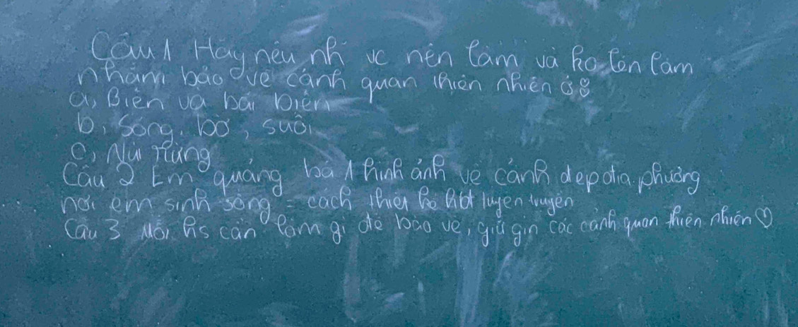 Caul Hay new no vc nen Can va Raton Cam
nham bāo ve canh quan thiàn nhièn Gg
a, Bièn vá bái Dien
b, Song, b0ó, saǒi
c, Nu Hung
Cau 2 Emquáng ba ABinB ánB ve canB depoa phuing
noi em sing song each then Be Bbt layen tragen
Cáu 3 Mó, As can Com gi de bào ve, giǔ gin cac canhquan fren nhièn