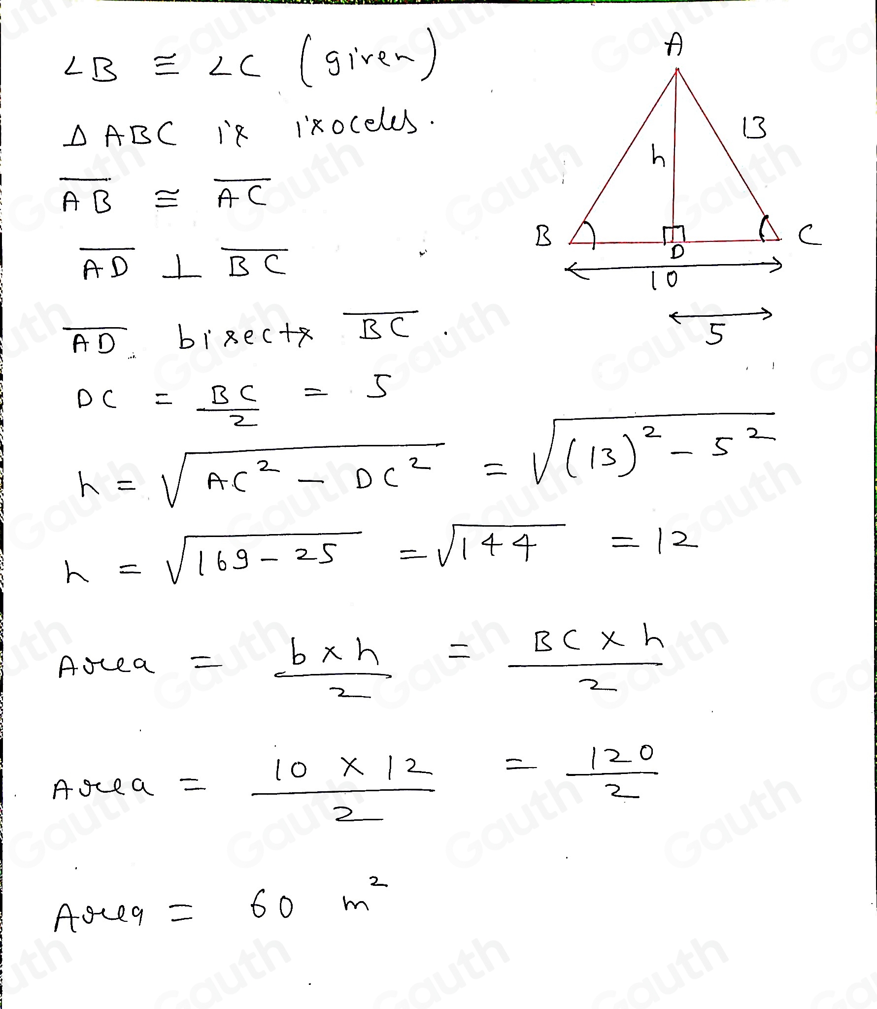 Solved: What is the area of the triangle? A. 30m^2 B. 60m^2 C. 65m^2 D ...
