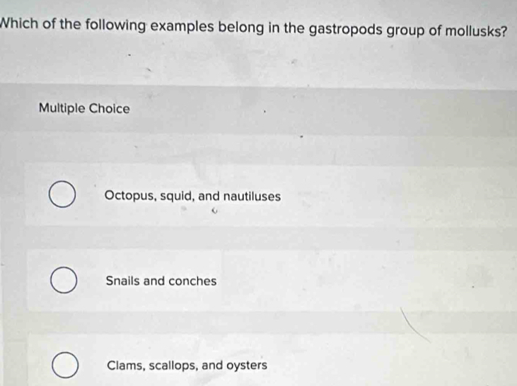 Which of the following examples belong in the gastropods group of mollusks?
Multiple Choice
Octopus, squid, and nautiluses
Snails and conches
Clams, scallops, and oysters