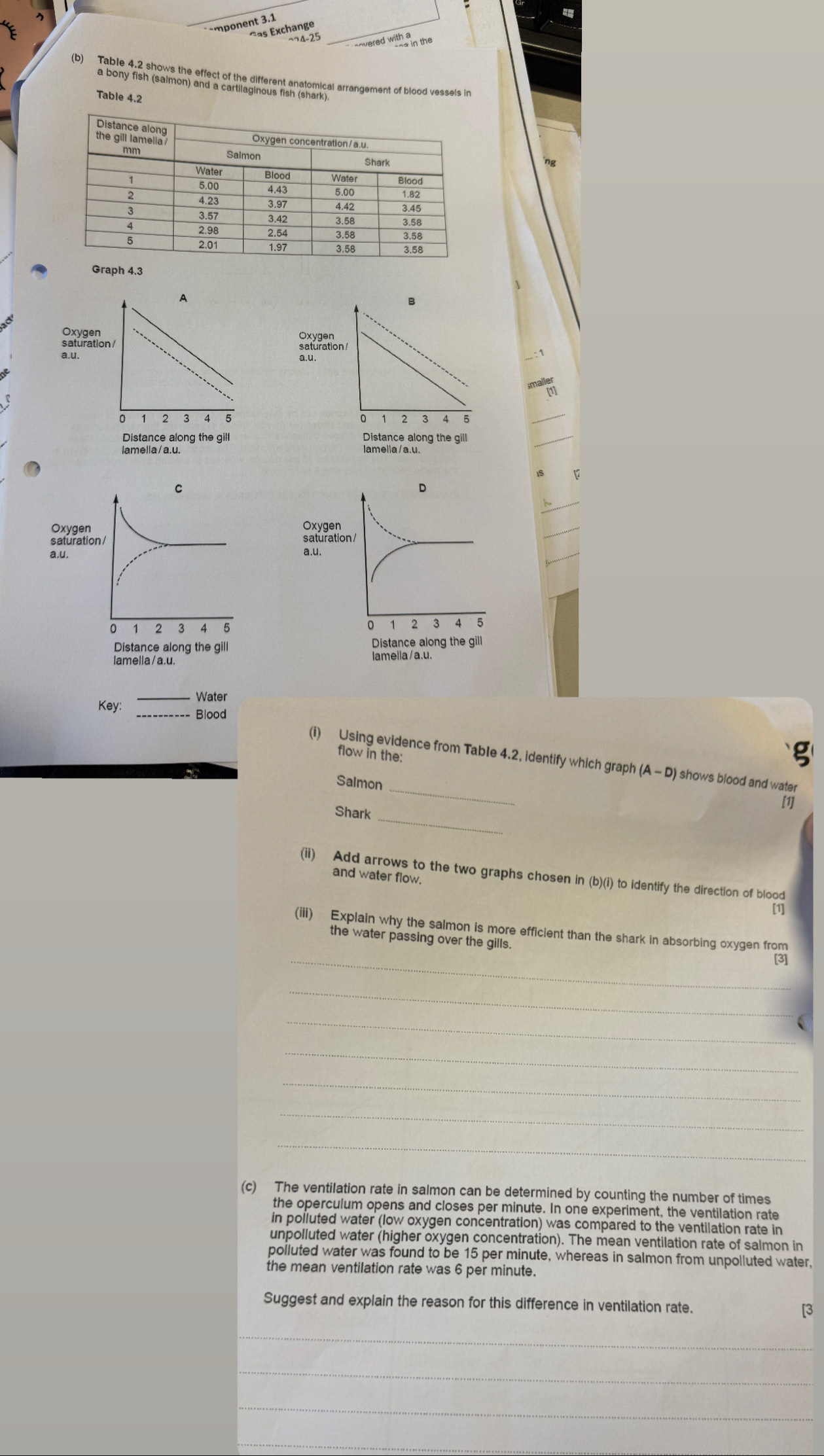 mponent 3.1 
ças Exchange
−24-25 enwered with in the 
Table 4.2
Graph 4.3
A 
B 
Oxygen 
saturation / 
a.u. 
saturation/ 
[1]
1 2 3 5 0 1 2 4
Distance along the gill Distance along the gill 
lamella /a.u. 
C 
Oxygen 
saturation / 
a.u.
1 p 3 4 5
Distance along the gill 
lamella /a.u. 
Key: _Water 
Blood 
flow in the: 
(i) Using evidence from Table 4.2, identify which graph (A-D) shows blood and water 
_ 
Salmon _[1] 
Shark 
(ii) Add arrows to the two graphs chosen in (b)(i) to identify the direction of blood 
and water flow. 
[1] 
_ 
(iii) Explain why the salmon is more efficient than the shark in absorbing oxygen from 
the water passing over the gills. 
3 
_ 
_ 
_ 
_ 
_ 
_ 
(c) The ventilation rate in salmon can be determined by counting the number of times 
the operculum opens and closes per minute. In one experiment, the ventilation rate 
in polluted water (low oxygen concentration) was compared to the ventilation rate in 
unpolluted water (higher oxygen concentration). The mean ventilation rate of salmon in 
poiluted water was found to be 15 per minute, whereas in salmon from unpolluted water, 
the mean ventilation rate was 6 per minute. 
Suggest and explain the reason for this difference in ventilation rate. [3 
_ 
_ 
_ 
_