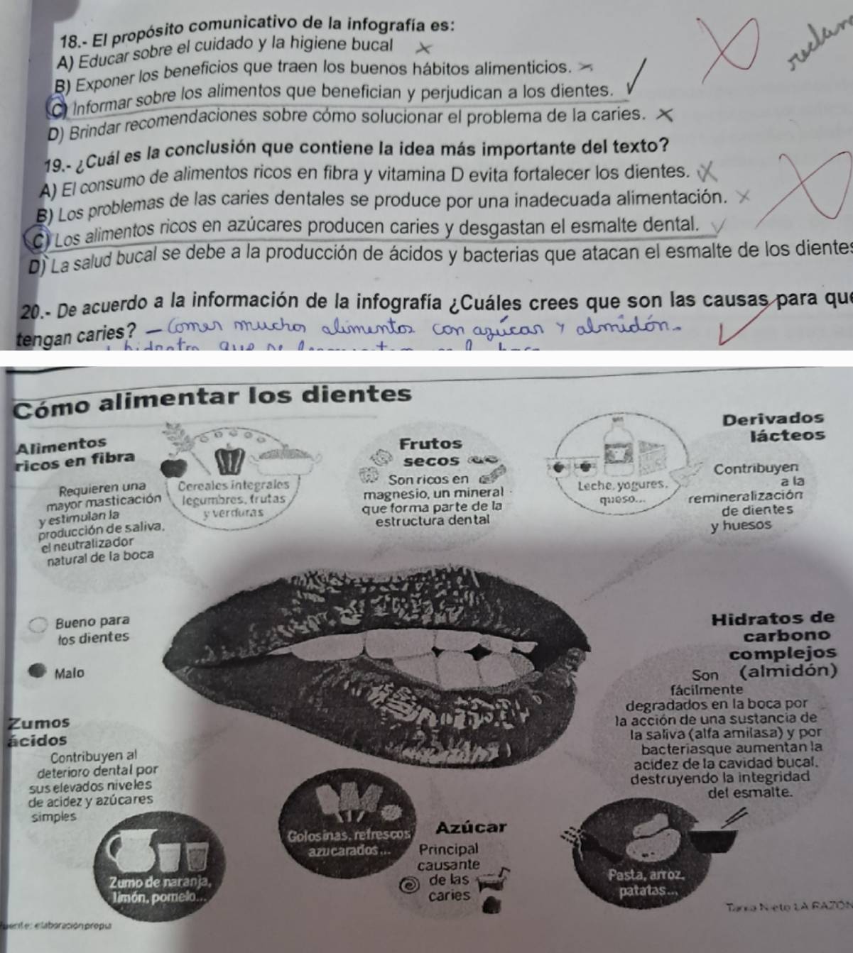 18.- El propósito comunicativo de la infografía es:
A) Educar sobre el cuidado y la higiene bucal
B) Exponer los beneficios que traen los buenos hábitos alimenticios.
Informar sobre los alimentos que benefician y perjudican a los dientes.
D) Brindar recomendaciones sobre cómo solucionar el problema de la caries.
19.- ¿Cuál es la conclusión que contiene la idea más importante del texto?
A) El consumo de alimentos ricos en fibra y vitamina D evita fortalecer los dientes.
B) Los problemas de las caries dentales se produce por una inadecuada alimentación.
C) Los alimentos ricos en azúcares producen caries y desgastan el esmalte dental.
D) La salud bucal se debe a la producción de ácidos y bacterias que atacan el esmalte de los dientes
20.- De acuerdo a la información de la infografía ¿Cuáles crees que son las causas para qu
tengan caries?
Cómo alimentar los dientes
Derivados
Alimentos Frutos lácteos
ricos en fibra
secos
Son ricos en Contribuyen
   
Requieren una Cereales integrafes Leche, yagures. a la
y verduras que forma parte de la queso... remineralización
y estimulan la mayor masticación legumbres, frutas magnesio, un mineral
estructura dental de dientes
producción de saliva. y huesos
el neutralizador
natural de la boca
Bueno para
Hidratos de
los dientes carbono
complejos
Malo Son (almidón)
fácilmente
degradados en la boca por
Zumos la acción de una sustancia de
ácidos la saliva (alfa amilasa) y por
Contribuyen al bacteríasque aumentan la
deterioro dental por acídez de la cavidad bucal.
suselevados niveles destruyendo la integridad
de acidez y azúcares del esmalte.
simples
Golosinas, refrescos Azúcar
azu carados . Principal
causante
Zumo de naranja, de las
Pasta, arroz,
limón. pomelo. caries patatas...
Tarka Niete LA RAZON
lrit e s elaboración propia