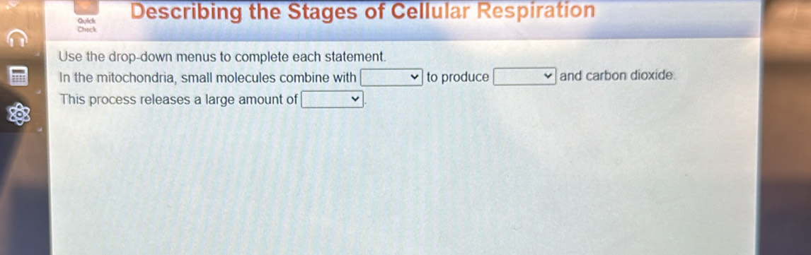 Solved: Quick Describing the Stages of Cellular Respiration Check Use ...
