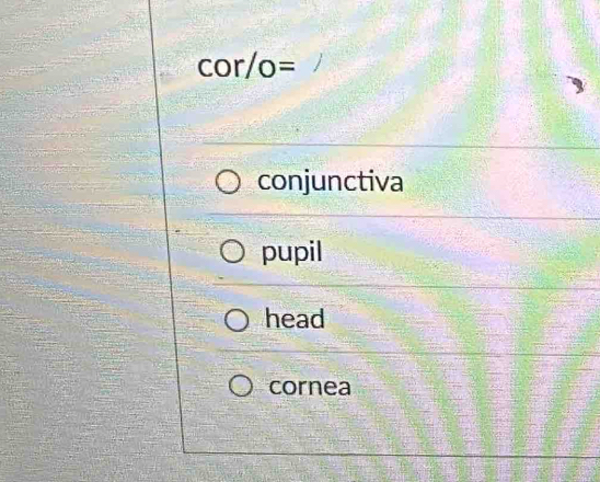 cor/o=
conjunctiva
pupil
head
cornea