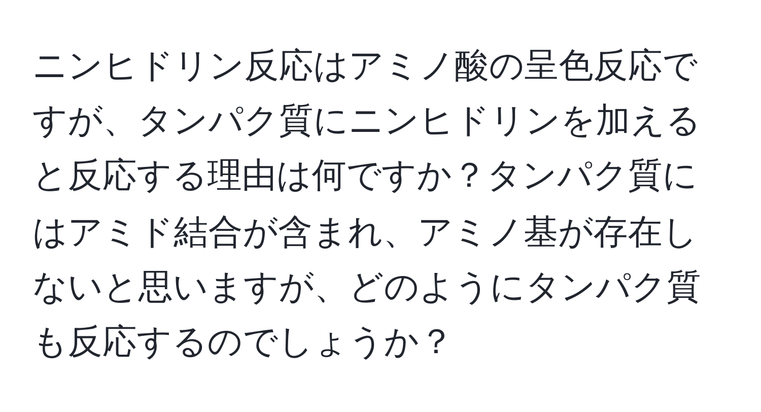 ニンヒドリン反応はアミノ酸の呈色反応ですが、タンパク質にニンヒドリンを加えると反応する理由は何ですか？タンパク質にはアミド結合が含まれ、アミノ基が存在しないと思いますが、どのようにタンパク質も反応するのでしょうか？