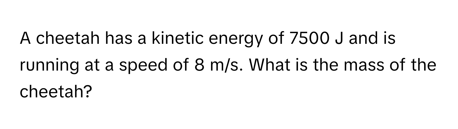 A cheetah has a kinetic energy of 7500 J and is running at a speed of 8 m/s. What is the mass of the cheetah?