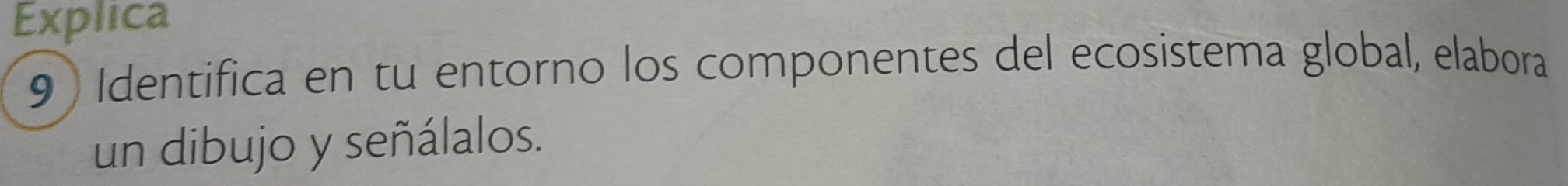 Explica 
9 Identifica en tu entorno los componentes del ecosistema global, elabora 
un dibujo y señálalos.