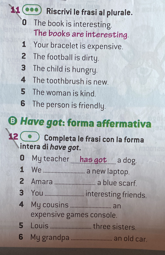 Riscrivi le frasi al plurale. 
0 The book is interesting. 
The books are interesting. 
1 Your bracelet is expensive. 
2 The football is dirty. 
3 The child is hungry. 
4 The toothbrush is new. 
5 The woman is kind. 
6 The person is friendly. 
O Have got: forma affermativa 
12 Completa le frasi con la forma 
intera di have got. 
O My teacher _has got a dog. 
1 We _a new laptop. 
2 Amara _a blue scarf. 
3 You_ interesting friends. 
4 My cousins _an 
expensive games console. 
5 Louis _three sisters. 
6 My grandpa _an old car.