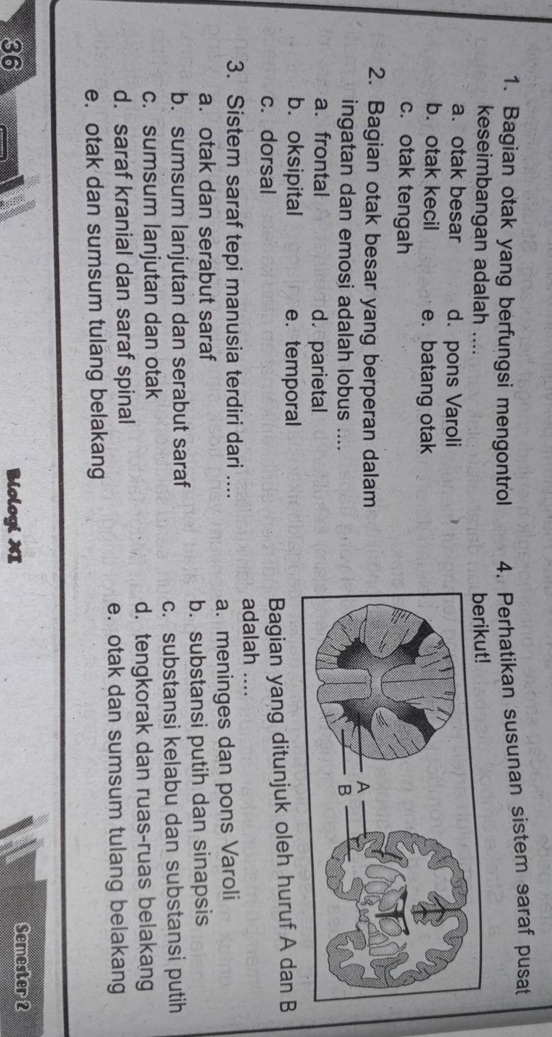 Bagian otak yang berfungsi mengontrol 4. Perhatikan susunan sistem saraf pusat
keseimbangan adalah .... berikut!
a. otak besar d. pons Varoli
b. otak kecil e. batang otak
c. otak tengah
2. Bagian otak besar yang berperan dalam
ingatan dan emosi adalah lobus T_
a. frontal d.parietal
b. oksipital e. temporal
c. dorsal
Bagian yang ditunjuk oleh huruf A dan B
adalah ....
3. Sistem saraf tepi manusia terdiri dari ....
a. otak dan serabut saraf a. meninges dan pons Varoli
b. substansi putih dan sinapsis
b. sumsum lanjutan dan serabut saraf
c. substansi kelabu dan substansi putih
c. sumsum lanjutan dan otak
d. tengkorak dan ruas-ruas belakang
d. saraf kranial dan saraf spinal
e. otak dan sumsum tulang belakang
e. otak dan sumsum tulang belakang
36 Biologi XI Semester 2