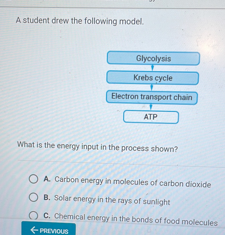 A student drew the following model.
Glycolysis
Krebs cycle
Electron transport chain
ATP
What is the energy input in the process shown?
A. Carbon energy in molecules of carbon dioxide
B. Solar energy in the rays of sunlight
C. Chemical energy in the bonds of food molecules
PREVIOUS