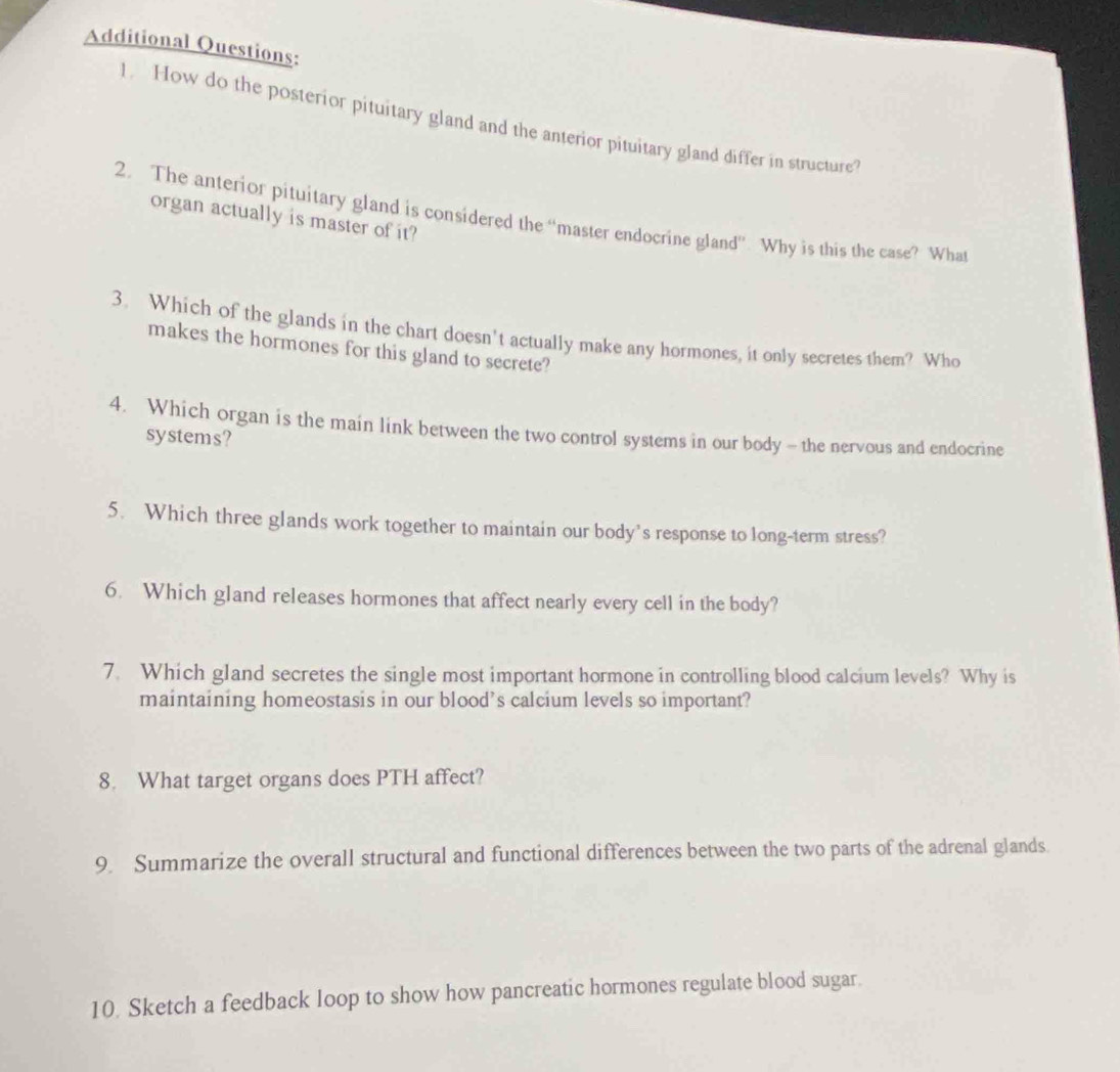 Additional Questions: 
1. How do the posterior pituitary gland and the anterior pituitary gland differ in structure 
2. The anterior pituitary gland is considered the “master endocrine gland”. Why is this the case? What 
organ actually is master of it? 
3. Which of the glands in the chart doesn't actually make any hormones, it only secretes them? Who 
makes the hormones for this gland to secrete? 
4. Which organ is the main link between the two control systems in our body - the nervous and endocrine 
systems? 
5. Which three glands work together to maintain our body’s response to long-term stress? 
6. Which gland releases hormones that affect nearly every cell in the body? 
7. Which gland secretes the single most important hormone in controlling blood calcium levels? Why is 
maintaining homeostasis in our blood’s calcium levels so important? 
8. What target organs does PTH affect? 
9. Summarize the overall structural and functional differences between the two parts of the adrenal glands 
10. Sketch a feedback loop to show how pancreatic hormones regulate blood sugar.