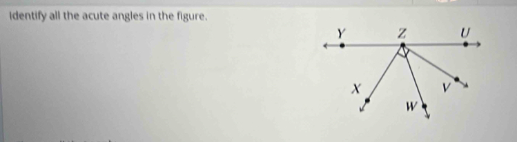 identify all the acute angles in the figure.
