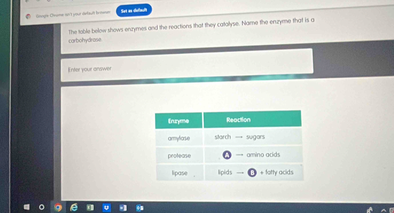 Google Chrome isn't your default browser Set as default 
The table below shows enzymes and the reactions that they catalyse. Name the enzyme that is a 
carbohydrase. 
Enter your answer