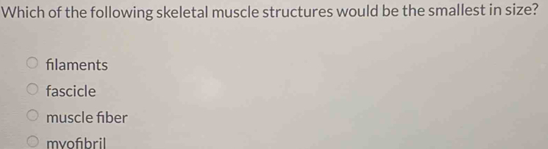 Which of the following skeletal muscle structures would be the smallest in size?
filaments
fascicle
muscle fiber
mvofıbril