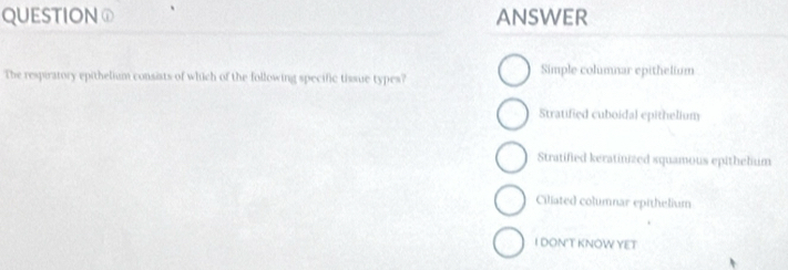 QUESTION① ANSWER
The respiratory epithelium consists of which of the following specific tissue types? Simple columnar epithelium
Stratified cuboidal epithelium
Stratified keratinized squamous epithelium
Ciliated columnar epithelium
I DONT KNOW YET