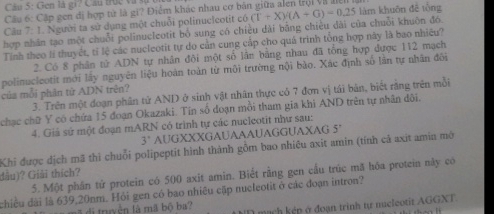 Cầu 5: Gen là gi? Cầu tục và s 
Câu 6: Cập gen đị hợp tử là gi? Điểm khác nhau cơ bản giữa alen trội và điển 
Câu 7: 1. Người ta sử dụng một chuỗi polinucleotit cù 
hợp nhân tạo một chuỗi polinucleotit bố sung có chiều dài bằng chiêu dài của chuỗi khuôn đó (T+X)/(A+G)=0.25 làm khuôn đề tổng 
Tính theo lí thuyết, tỉ lệ các nucleotit tự do cản cung cấp cho quá trình tổng hợp này là bao nhiêu? 
2. Có 8 phân tử ADN tự nhân đôi một số lần bằng nhau đã tổng hợp được 112 mạch 
polinucleotit mới lấy nguyên liệu hoàn toàn từ môi trường nội bào. Xác định số lần tự nhân đôi 
của mỗi phân tử ADN trên? 
3. Trên một đoạn phân tử AND ở sinh vật nhân thực có 7 đơn vị tái bản, biết rằng trên mỗi 
chạc chữ Y có chứa 15 đoạn Okazaki. Tín số đoạn mồi tham gia khi AND trên tự nhân đôi. 
4. Giả sứ một đoạn mARN có trình tự các nucleotit như sau:
3° AUGXXXGAUAAAUAGGUAXAG 5°
Khi được địch mã thì chuỗi polipeptit hình thành gồm bao nhiều axit amin (tính cả axit amin mô 
dâu)? Giải thích? 
5. Một phần tử protein có 500 axit amin. Biết rằng gen cầu trúc mã hóa protein này có 
chiều dài là 639, 20nm. Hỏi gen có bao nhiêu cặp nucleotit ở các đoạn intron? 
đi truyền là mã bộ ba? D mạch kếp ở đoạn trình tự nucleotit AGGXT.