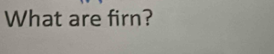 What are firn?