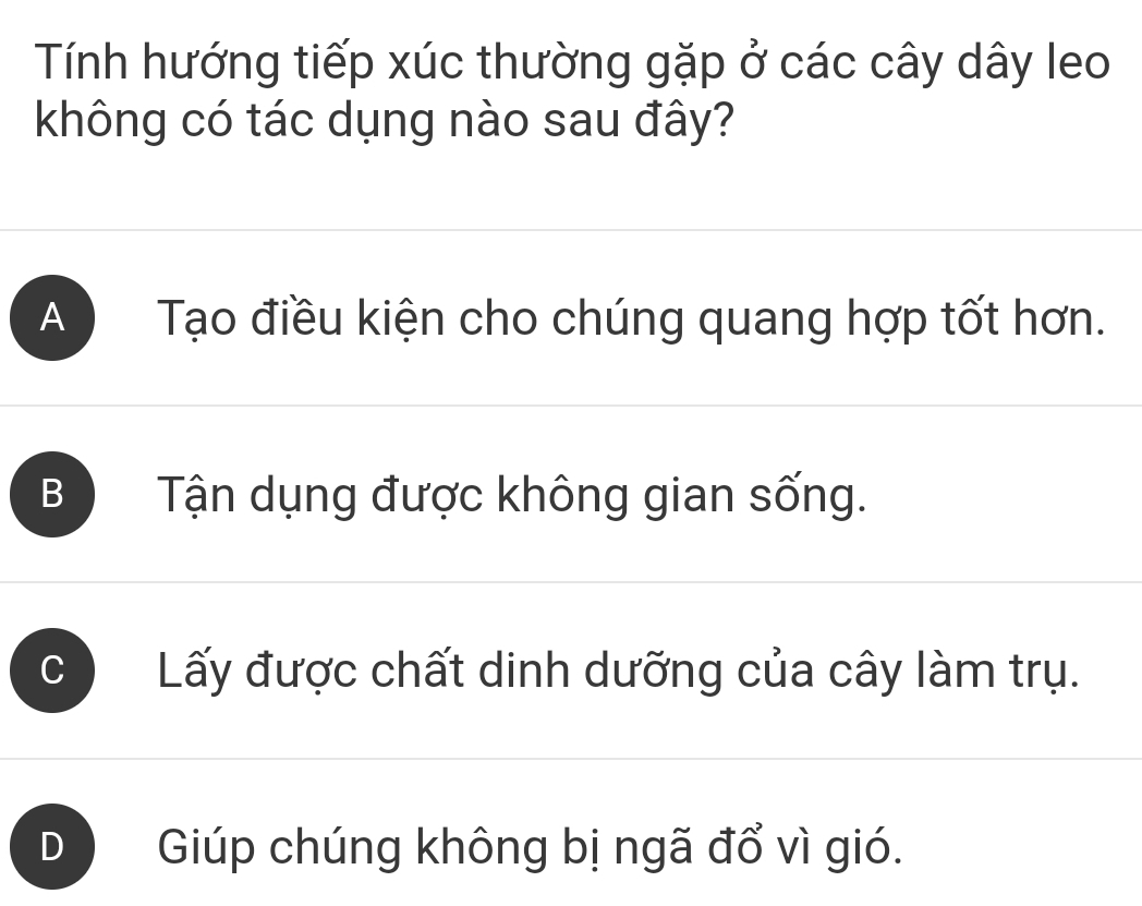 Tính hướng tiếp xúc thường gặp ở các cây dây leo
không có tác dụng nào sau đây?
A ) Tạo điều kiện cho chúng quang hợp tốt hơn.
B Tận dụng được không gian sống.
C Lấy được chất dinh dưỡng của cây làm trụ.
D Giúp chúng không bị ngã đổ vì gió.