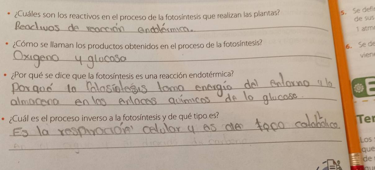 ¿Cuáles son los reactivos en el proceso de la fotosíntesis que realizan las plantas? 
5. Se defi 
_ 
de sus 
1 atm 
¿Cómo se llaman los productos obtenidos en el proceso de la fotosíntesis? 
6. Se de 
_ 
vien 
¿Por qué se dice que la fotosíntesis es una reacción endotérmica? 
_ 
_ 
_ 
¿Cuál es el proceso inverso a la fotosíntesis y de qué tipo es? 
Te 
_ 
Los 
que 
de 
au
